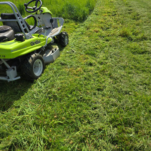 Photo de galerie - Débroussaillage 