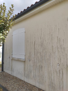 Photo de galerie - Nettoyage façade