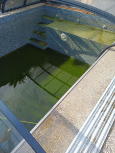 Photo de galerie - Entretien piscine