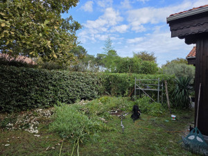 Photo de galerie - Taille de haie 