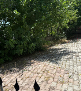 Photo de galerie - Remise en état 