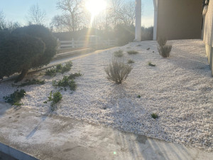 Photo de galerie - Création de massifs avec des végétaux nécessitant peu d’entretien