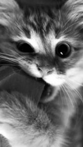 Photo de galerie - Femme de 32 ans