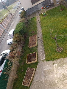 Photo de galerie - Aménagement d'un jardin particulier avec création d'espaces pour potager, préparation de sol et semis de gazons de pelouse, taille de haie et plantation de divers arbustes 