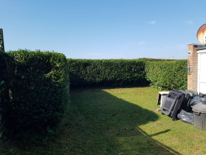 Photo de galerie - Taille de haies et d'arbustes