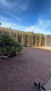 Photo de galerie - Paysagiste - Aménagement du jardin