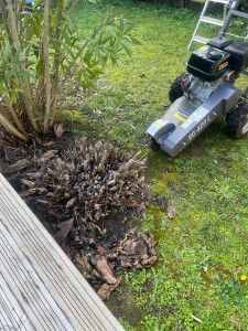 Photo de galerie - Rognage de souche