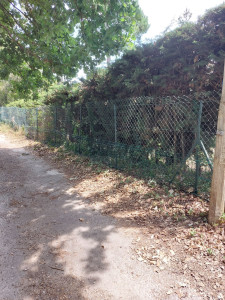 Photo de galerie - Clôture Grillage