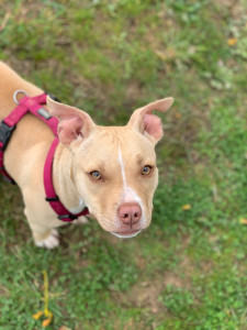 Photo de galerie - Visite éducative Tiny