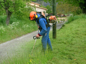 Photo de galerie - Très professionnel 
