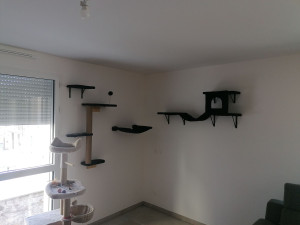Photo de galerie - Installation Arbre à chat 
