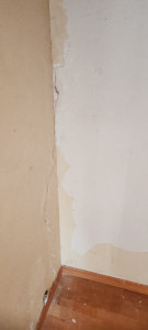 Photo de galerie - Peinture - Tapisserie