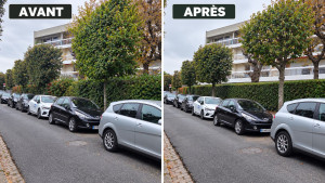 Photo de galerie - Taille de haies soignée et résultat impeccable. 