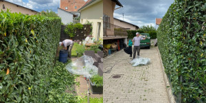 Photo de galerie - Tailles de haies 