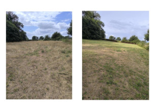 Photo de galerie - Remise au propre d'un champs