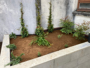 Photo de galerie - Massifs 