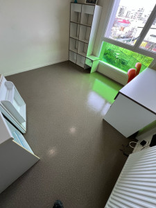 Photo de galerie - Remise en état