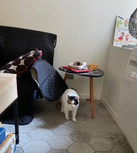 Photo de galerie - Visite au domicile 