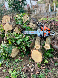 Photo de galerie - Faites appel à nos services pour tout type d’espace vert, élagage, taille de haies débroussaillage etc…