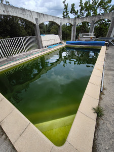 Photo de galerie - Entretien piscine