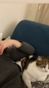 Photo de galerie - Petite sieste à deux 