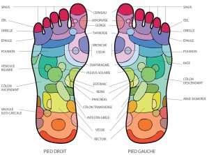 Photo de galerie - Réflexologie plantaire 