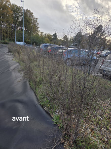 Photo de galerie - Voici avant de commencer le travail