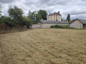 Photo de galerie - Remise en état jardin non entretenu depuis 1 an