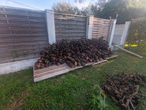 Photo de galerie - 4 stères de bois qu'il a fallu ranger sur ces
 palettes