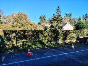 Photo de galerie - Taille et rabbatage avec evacuation haie de thuyas 