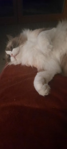 Photo de galerie - Je suis tranquille 