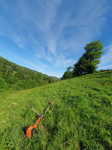 Photo de galerie - Débrousaillage d'une parcelle pour chevaux
