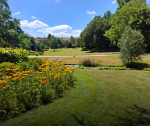 Photo de galerie - Entretien de Jardin
