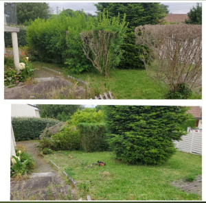 Photo de galerie - Abatage d'une haie