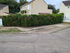 Photo de galerie - Photo avant la suppression de la haie et rognage des souches