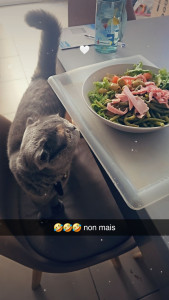 Photo de galerie - Garde chat