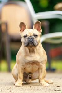 Photo de galerie - VOX  ???