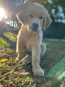 Photo de galerie - ABBY