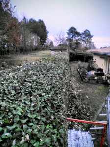 Photo de galerie - Taille de haies et d'arbustes