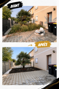 Photo de galerie - Évacuation d’un surplus de terre autour du palmier, remise à niveau du terrain, ajout de pavés et finition avec paillage pour un rendu propre et soigné.