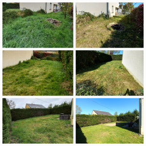 Photo de galerie - Tonte de pelouse - Débroussaillage