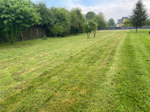 Photo de galerie - Terrain tondu 