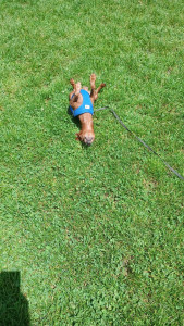 Photo de galerie - Un vrai bonheur 