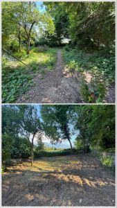 Photo de galerie - Paysagiste - Aménagement du jardin