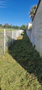 Photo de galerie - Débroussaillage 
