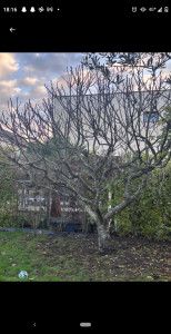 Photo de galerie - Avant l'intervention 

