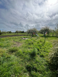 Photo de galerie - Tonte de pelouse - Débroussaillage