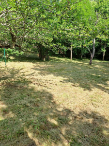 Photo de galerie - Tonte d'herbe 