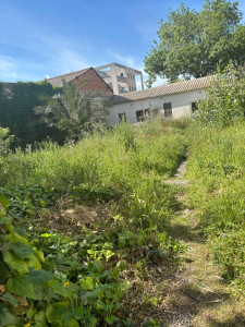 Photo de galerie - Débroussaillage avant 