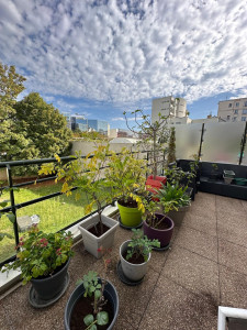 Photo de galerie - Entretien de plantes en pot + remise en état terrasse